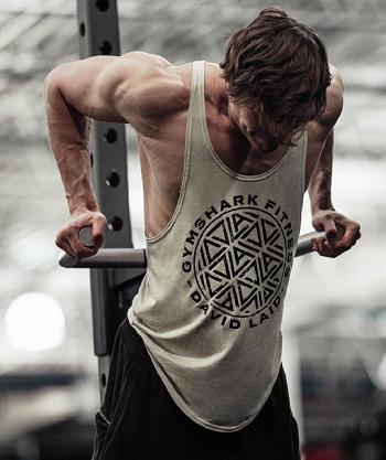Pánské Stringers Gymshark Gs X David Laid Šedé | CZ 2577KOR